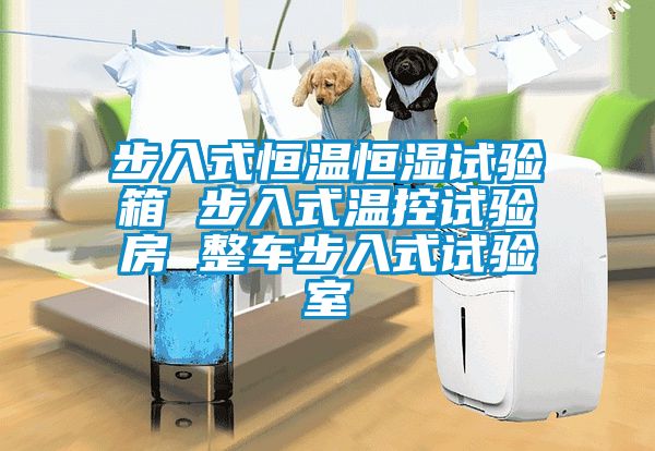 步入式恒温恒湿试验箱 步入式温控试验房 整车步入式试验室