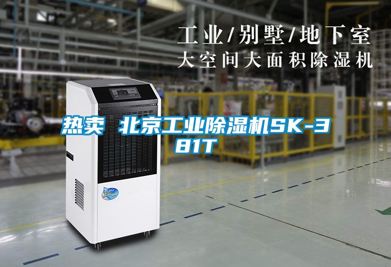 热卖 北京工业除湿机SK-381T