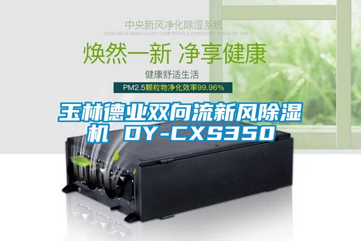 玉林德业双向流新风除湿机 DY-CXS350