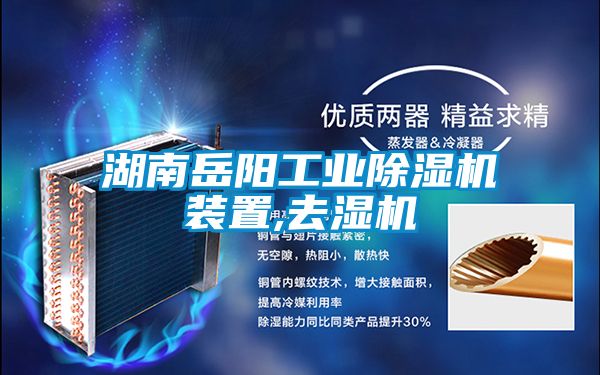 湖南岳阳工业除湿机装置,去湿机