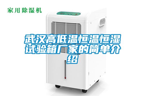武汉高低温恒温恒湿试验箱厂家的简单介绍