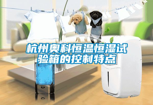 杭州奥科恒温恒湿试验箱的控制特点