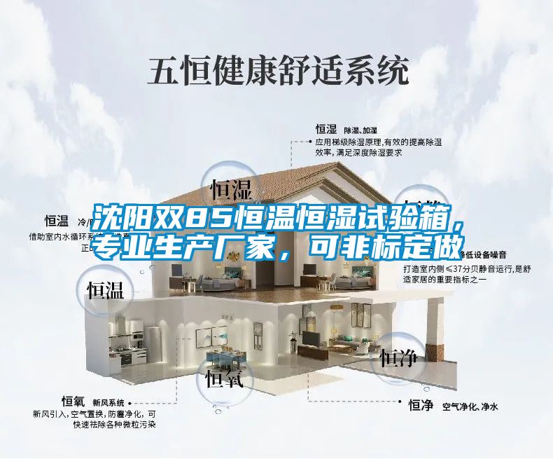 沈阳双85恒温恒湿试验箱，专业生产厂家，可非标定做