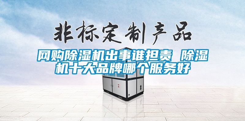 网购除湿机出事谁担责 除湿机十大品牌哪个服务好