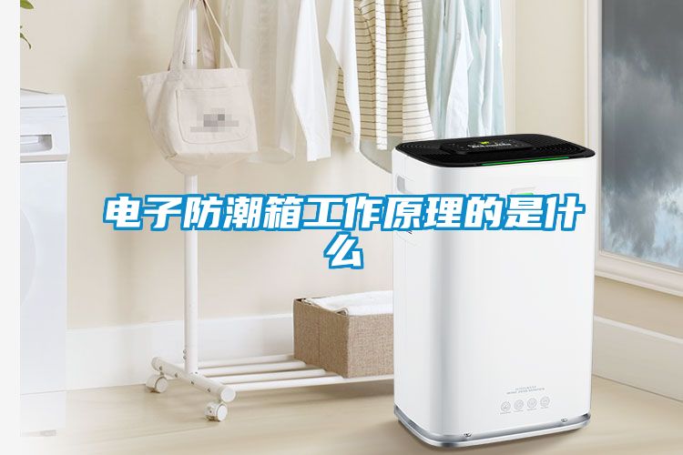 电子防潮箱工作原理的是什么