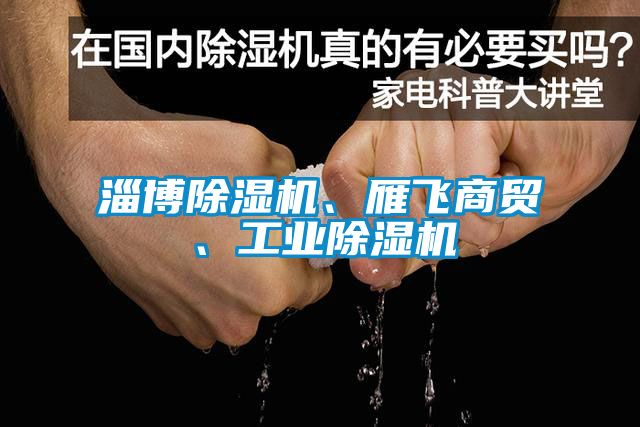 淄博除湿机、雁飞商贸、工业除湿机