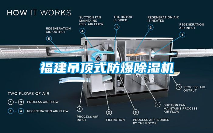 福建吊顶式防爆除湿机