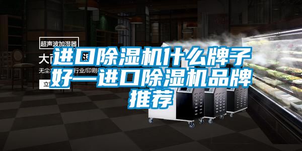 进口除湿机什么牌子好—进口除湿机品牌推荐