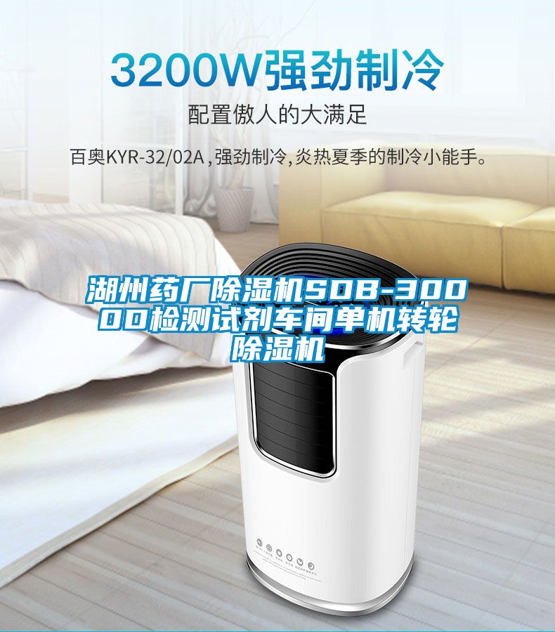 湖州药厂除湿机SDB-3000D检测试剂车间单机转轮除湿机
