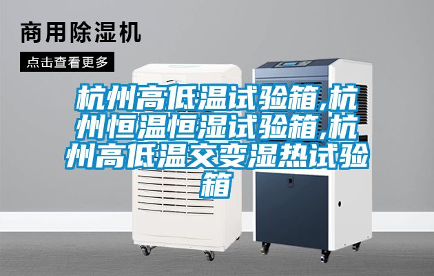 杭州高低温试验箱,杭州恒温恒湿试验箱,杭州高低温交变湿热试验箱