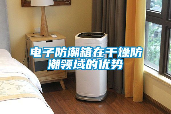 电子防潮箱在干燥防潮领域的优势
