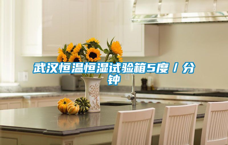 武汉恒温恒湿试验箱5度／分钟