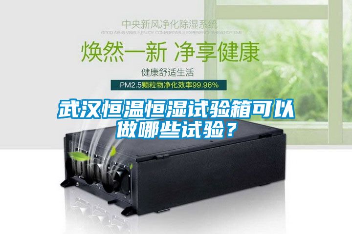 武汉恒温恒湿试验箱可以做哪些试验？