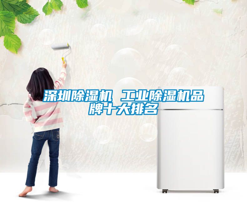 深圳除湿机 工业除湿机品牌十大排名