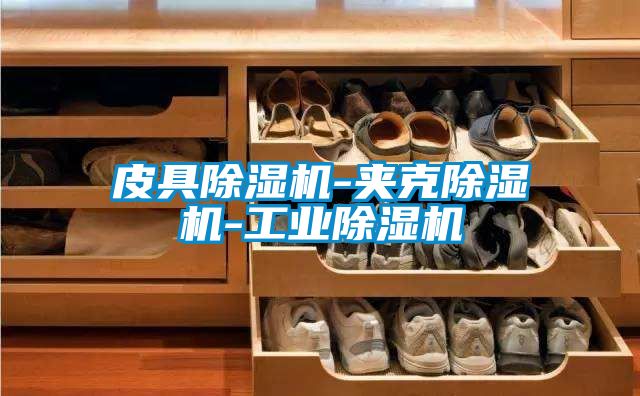 皮具除湿机-夹克除湿机-工业除湿机
