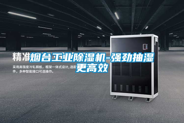 烟台工业除湿机-强劲抽湿更高效
