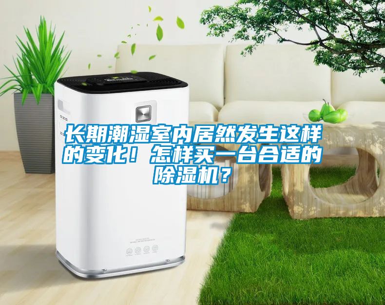 长期潮湿室内居然发生这样的变化！怎样买一台合适的除湿机？