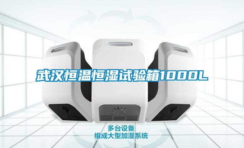武汉恒温恒湿试验箱1000L