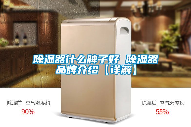 除湿器什么牌子好 除湿器品牌介绍【详解】