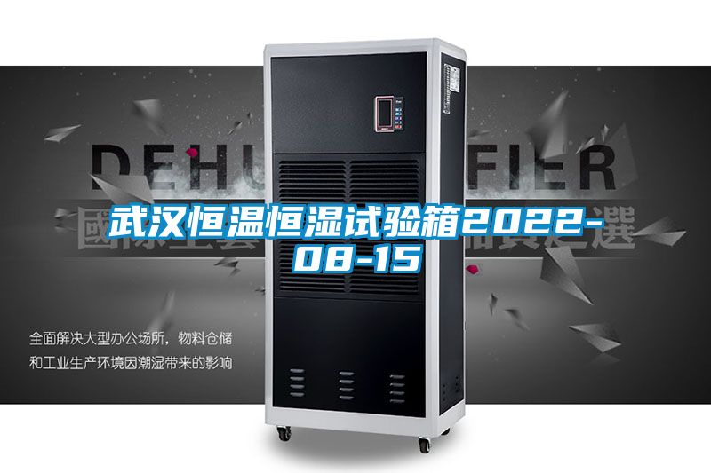 武汉恒温恒湿试验箱2022-08-15