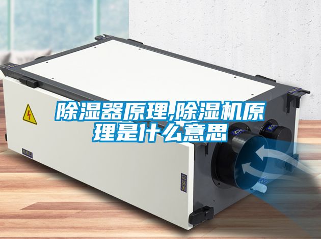除湿器原理,除湿机原理是什么意思