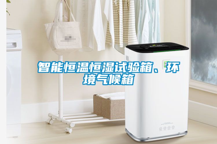 智能恒温恒湿试验箱、环境气候箱