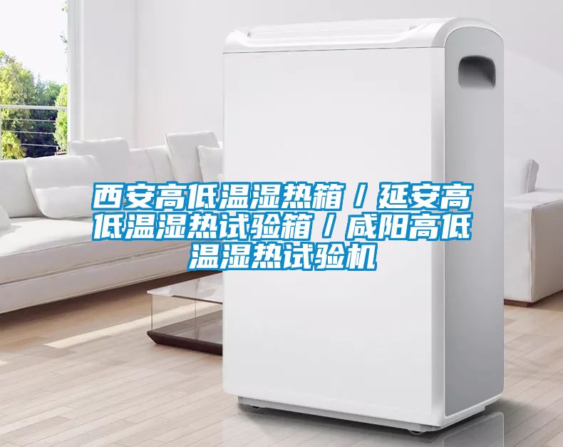 西安高低温湿热箱／延安高低温湿热试验箱／咸阳高低温湿热试验机