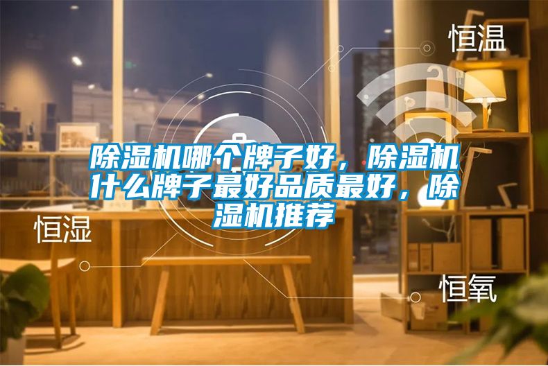 除湿机哪个牌子好，除湿机什么牌子最好品质最好，除湿机推荐