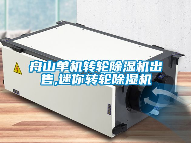 舟山单机转轮除湿机出售,迷你转轮除湿机