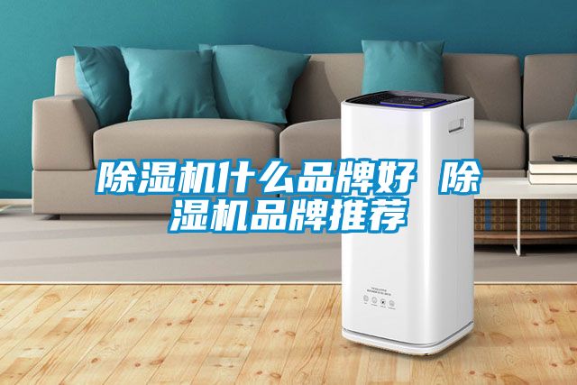 除湿机什么品牌好 除湿机品牌推荐