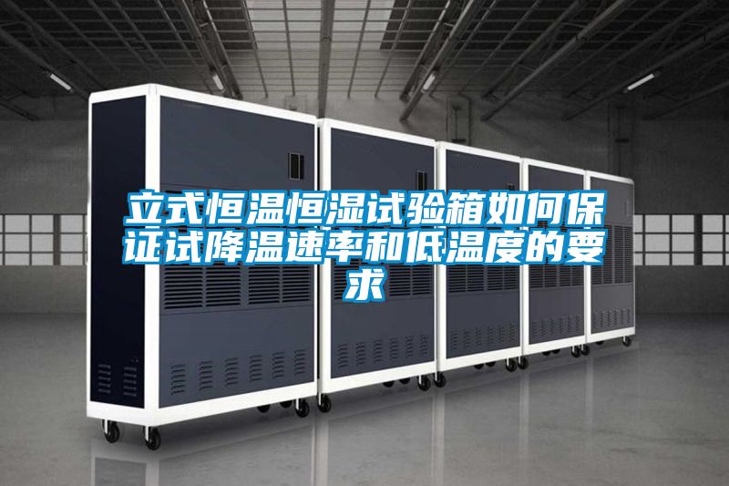 立式恒温恒湿试验箱如何保证试降温速率和低温度的要求