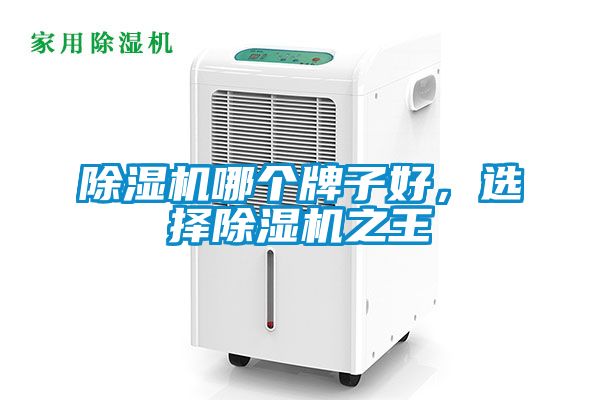 除湿机哪个牌子好，选择除湿机之王