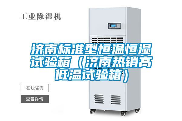 济南标准型恒温恒湿试验箱（济南热销高低温试验箱）