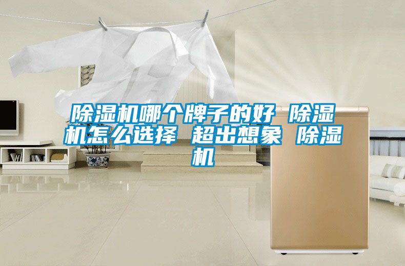 除湿机哪个牌子的好 除湿机怎么选择 超出想象 除湿机