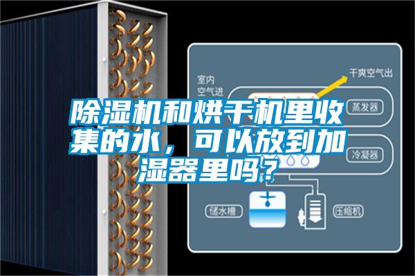 除湿机和烘干机里收集的水，可以放到加湿器里吗？