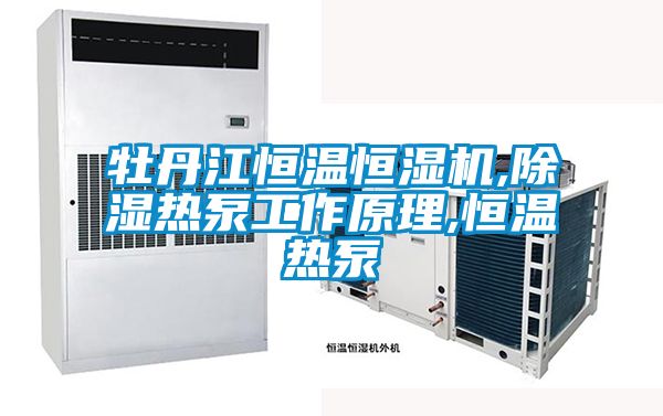 牡丹江恒温恒湿机,除湿热泵工作原理,恒温热泵