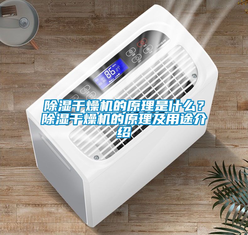除湿干燥机的原理是什么？除湿干燥机的原理及用途介绍