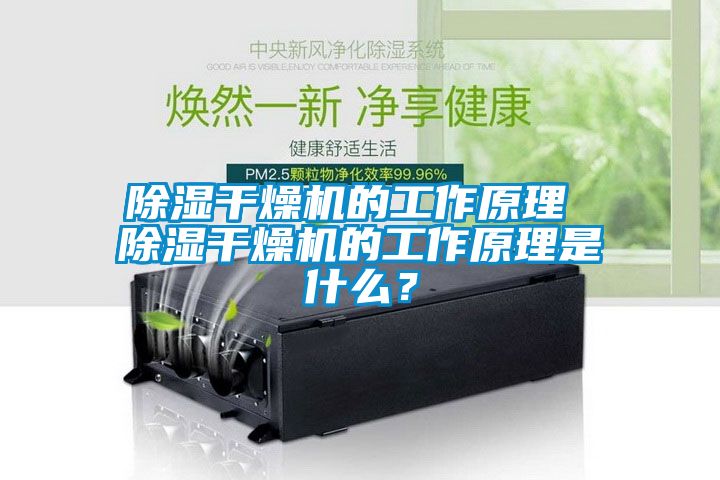 除湿干燥机的工作原理 除湿干燥机的工作原理是什么？