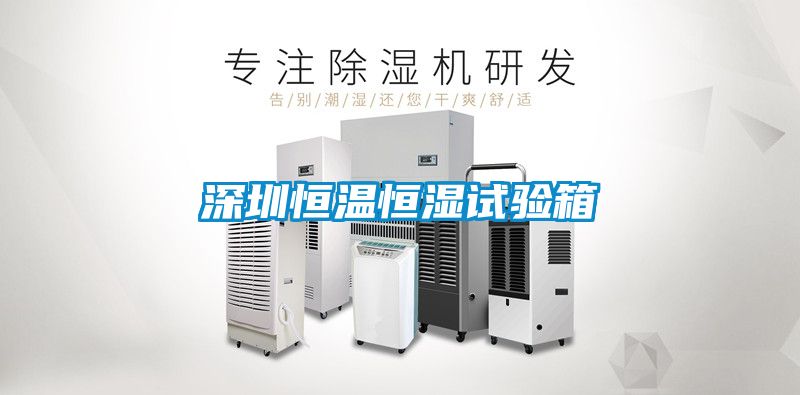 深圳恒温恒湿试验箱