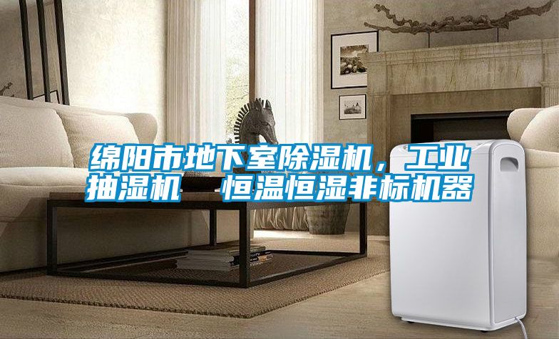 绵阳市地下室除湿机，工业抽湿机  恒温恒湿非标机器
