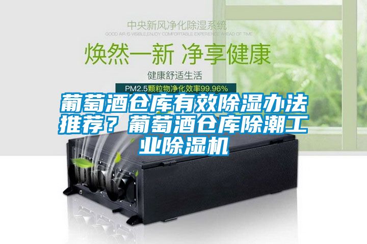 葡萄酒仓库有效除湿办法推荐？葡萄酒仓库除潮工业除湿机