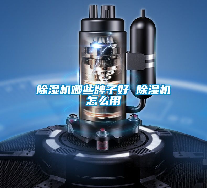 除湿机哪些牌子好 除湿机怎么用