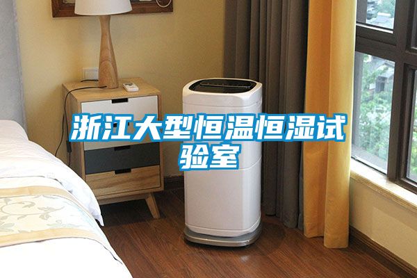 浙江大型恒温恒湿试验室