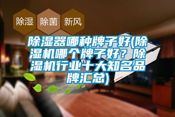 除湿器哪种牌子好(除湿机哪个牌子好？除湿机行业十大知名品牌汇总)