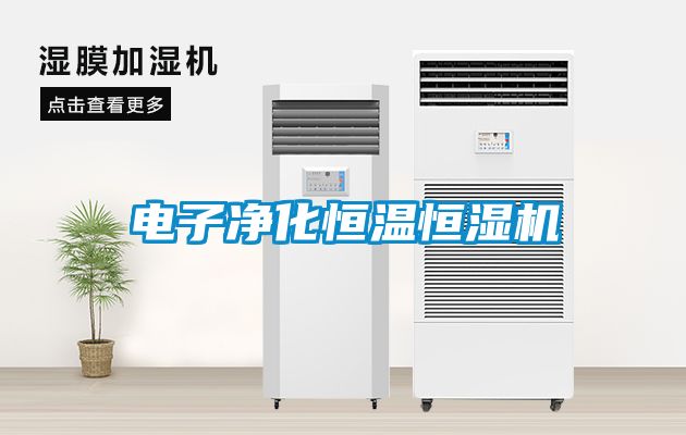 电子净化恒温恒湿机