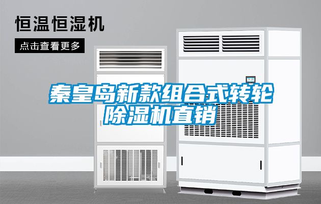 秦皇岛新款组合式转轮除湿机直销