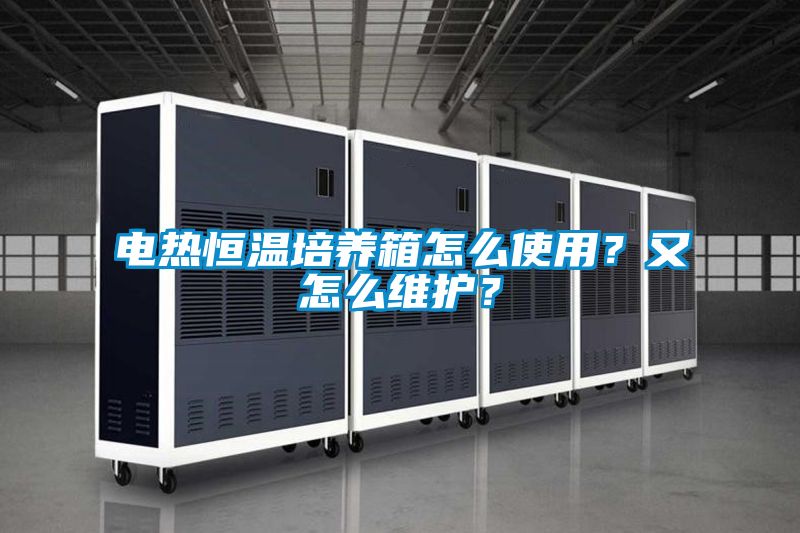 电热恒温培养箱怎么使用？又怎么维护？