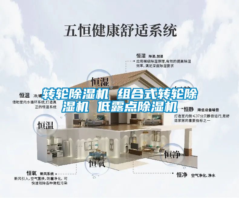 转轮除湿机 组合式转轮除湿机 低露点除湿机