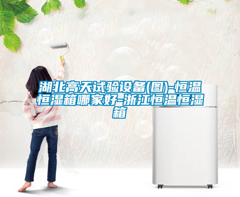 湖北高天试验设备(图)-恒温恒湿箱哪家好-浙江恒温恒湿箱