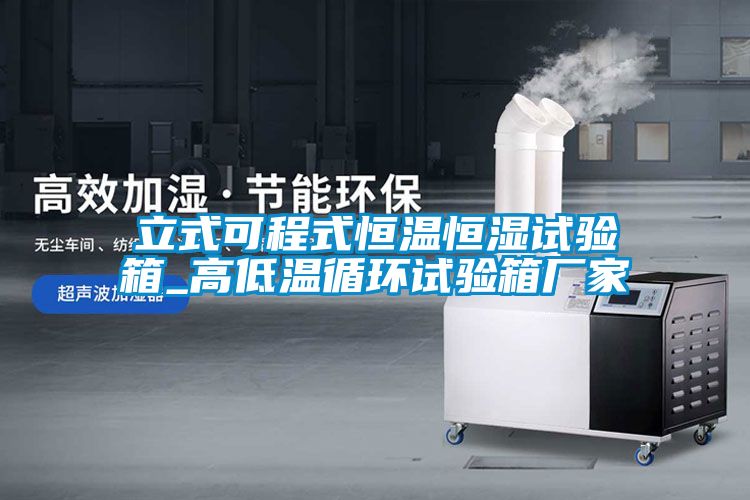 立式可程式恒温恒湿试验箱_高低温循环试验箱厂家